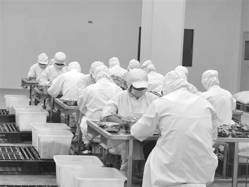杨庄镇农产品加工业总产值达30亿元